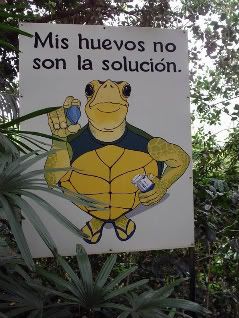 Yes, that turtle is holding a Viagra tablet.