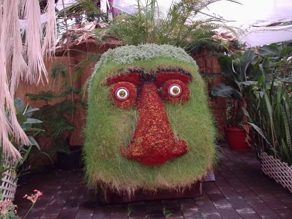 First we stopped at the Eden greenhouse, where we saw this odd fellow.