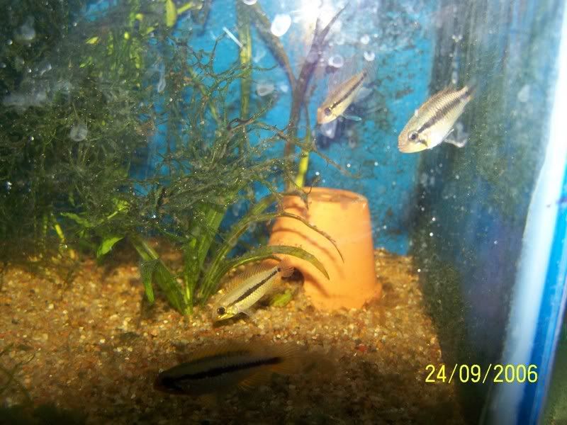 100_0482.jpg