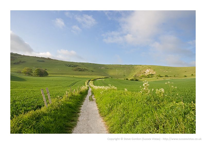 IMAGE: http://i3.photobucket.com/albums/y74/nevets2001uk/PSG0905A1-0124-ZOjpg.jpg