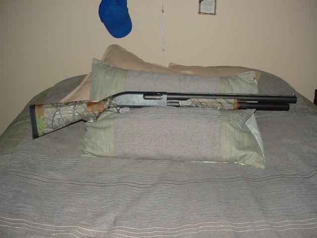 DSC01539.jpg