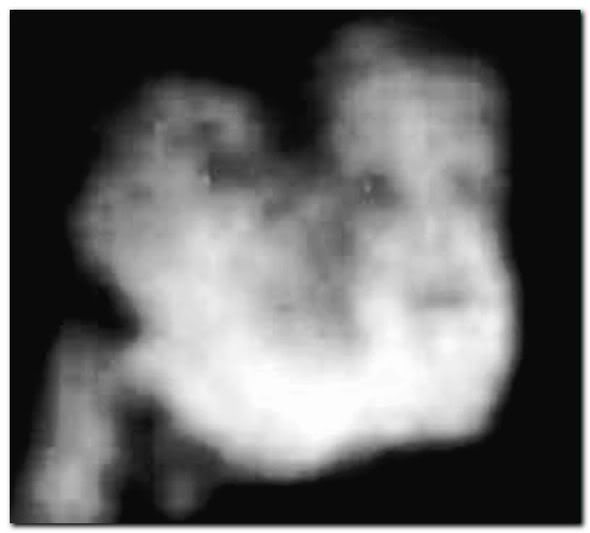 [Pilt: Stanley02_01.jpg]