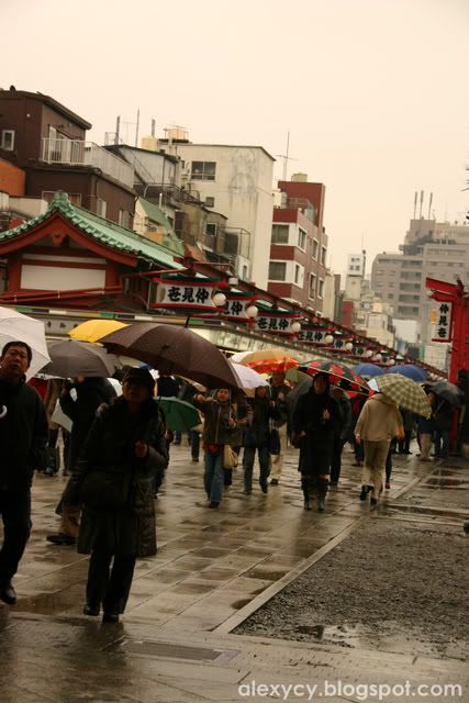 Umbrellas in the Rain.1