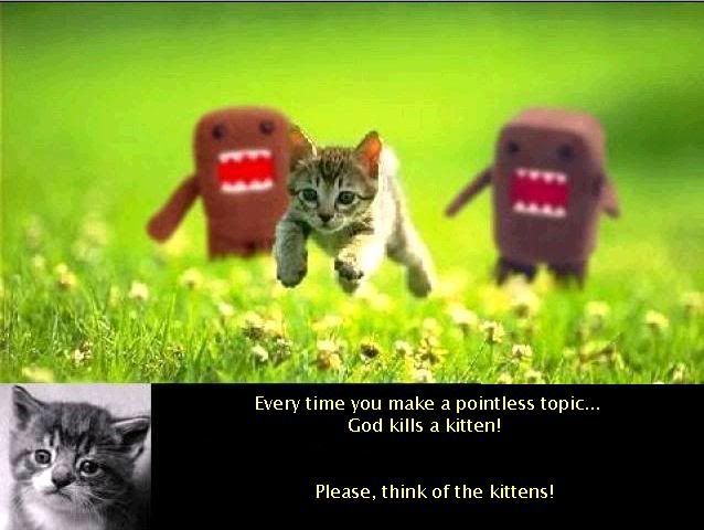 kittens.jpg?t=1248563048