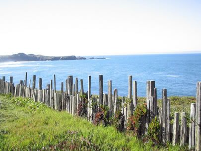 The Sea Ranch Fence