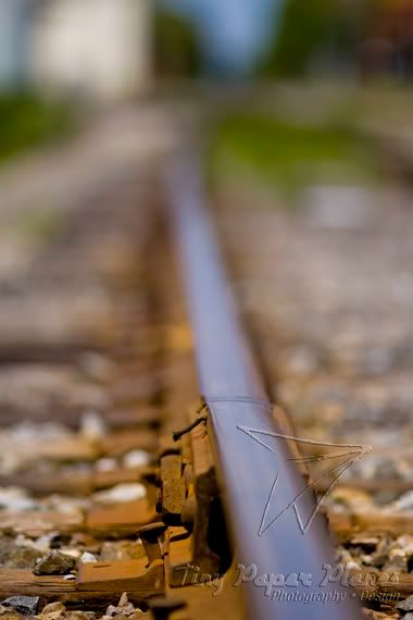 IMAGE: http://i3.photobucket.com/albums/y76/Im_in_Disguise/Pro%20Stuff/IMG_1554_watermark.jpg