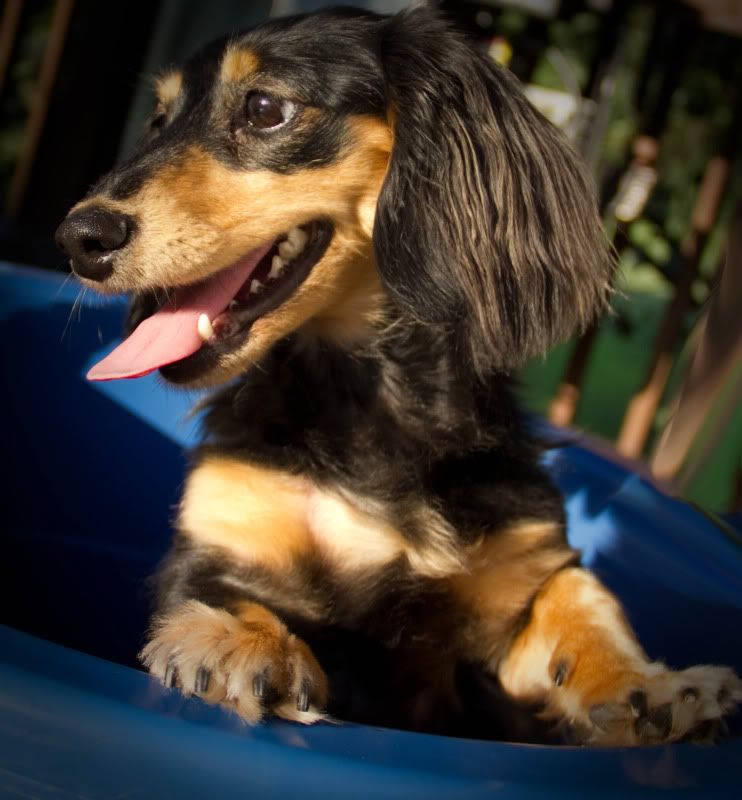 IMAGE: http://i3.photobucket.com/albums/y76/cwr89/IMG_1277.jpg