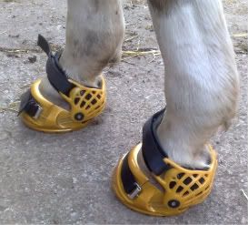 renegade hoof boots for sale