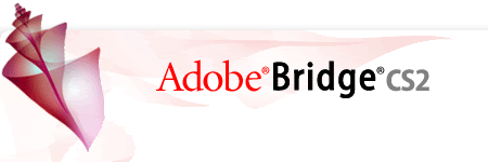 adobebridge How to Batch Rename Filenames