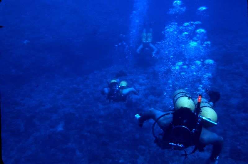 Exploringthereef--Okinawa1968.jpg