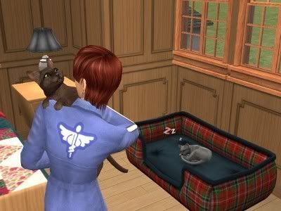 snapshot_b2469682_9246ceb5.jpg