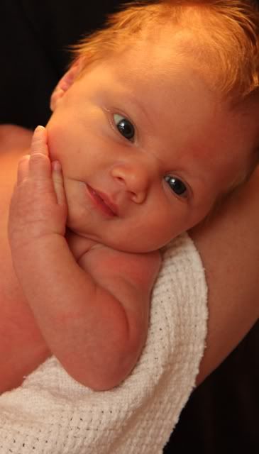 IMAGE: http://i3.photobucket.com/albums/y77/dabel/DPP_0566.jpg