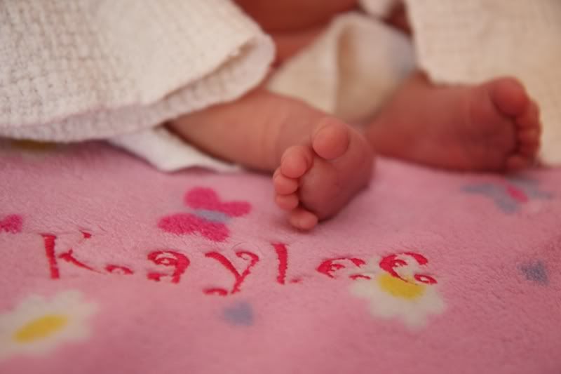 IMAGE: http://i3.photobucket.com/albums/y77/dabel/DPP_0578.jpg