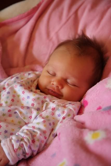 IMAGE: http://i3.photobucket.com/albums/y77/dabel/DPP_0598.jpg