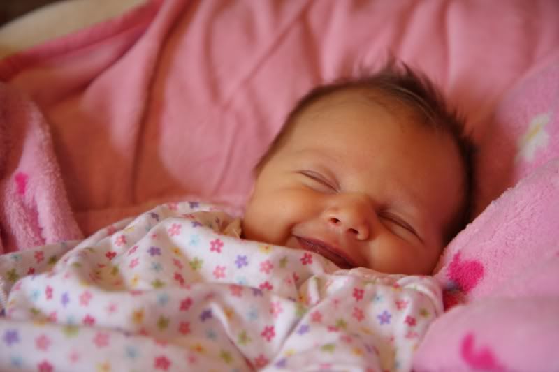 IMAGE: http://i3.photobucket.com/albums/y77/dabel/DPP_0605.jpg