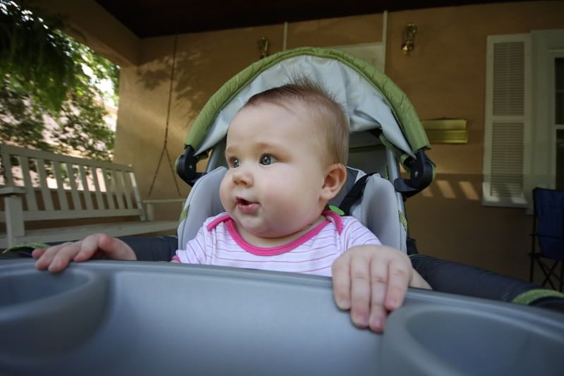 IMAGE: http://i3.photobucket.com/albums/y77/dabel/DPP_1146.jpg