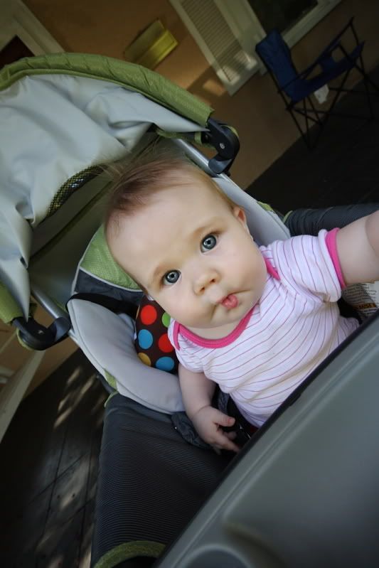 IMAGE: http://i3.photobucket.com/albums/y77/dabel/DPP_1147.jpg