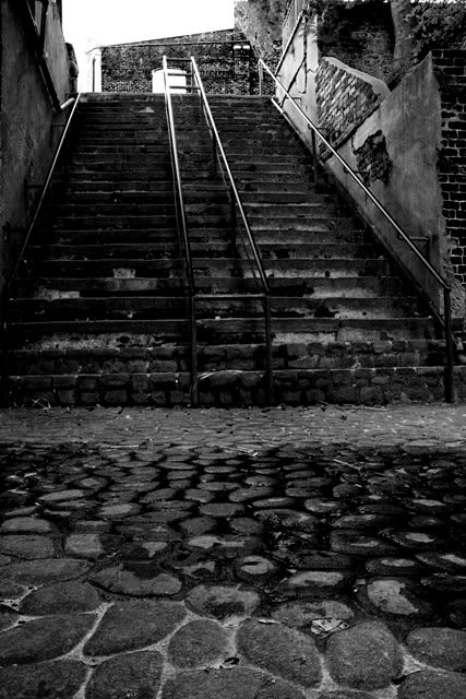 IMAGE: http://i3.photobucket.com/albums/y77/dabel/IMG_3903.jpg