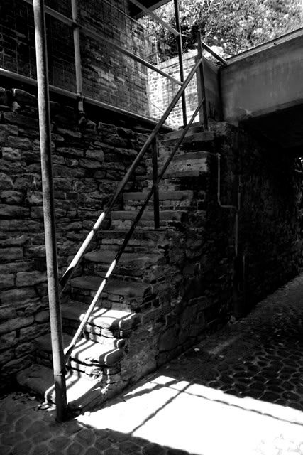 IMAGE: http://i3.photobucket.com/albums/y77/dabel/IMG_3914.jpg