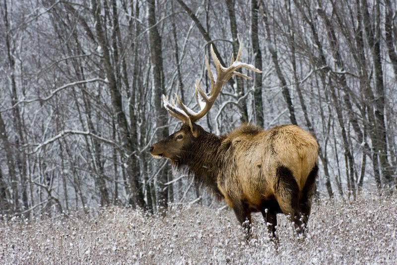 IMAGE: http://i3.photobucket.com/albums/y77/dabel/IMG_8381goodedit.jpg