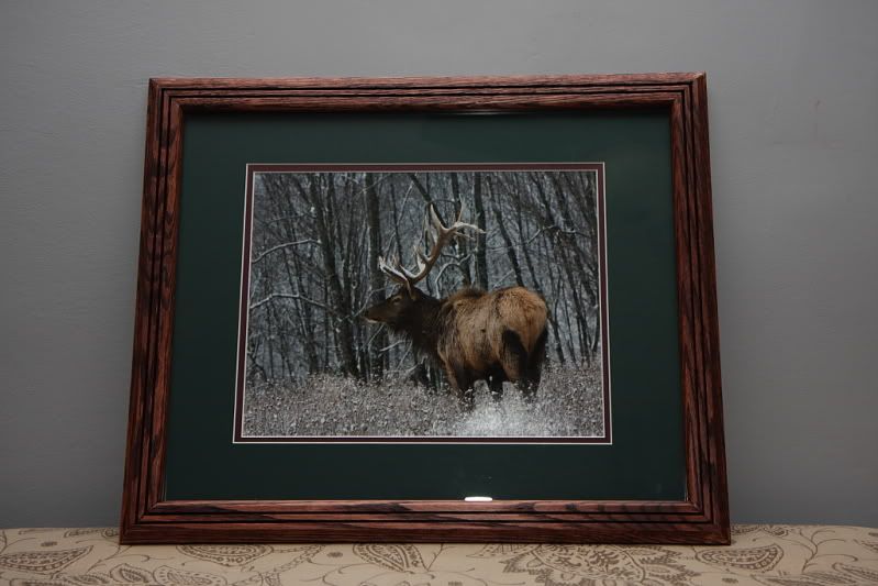 IMAGE: http://i3.photobucket.com/albums/y77/dabel/IMG_8705.jpg