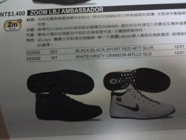 Nike Zoom LBJ Ambassador