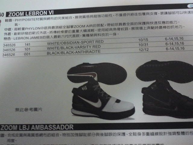Nike Zoom Lebron VI (6)