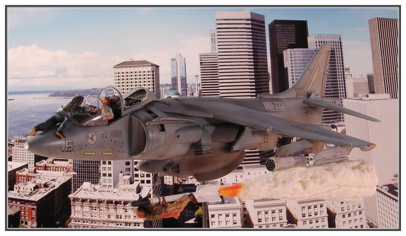 Harrier%20TL%204.jpg