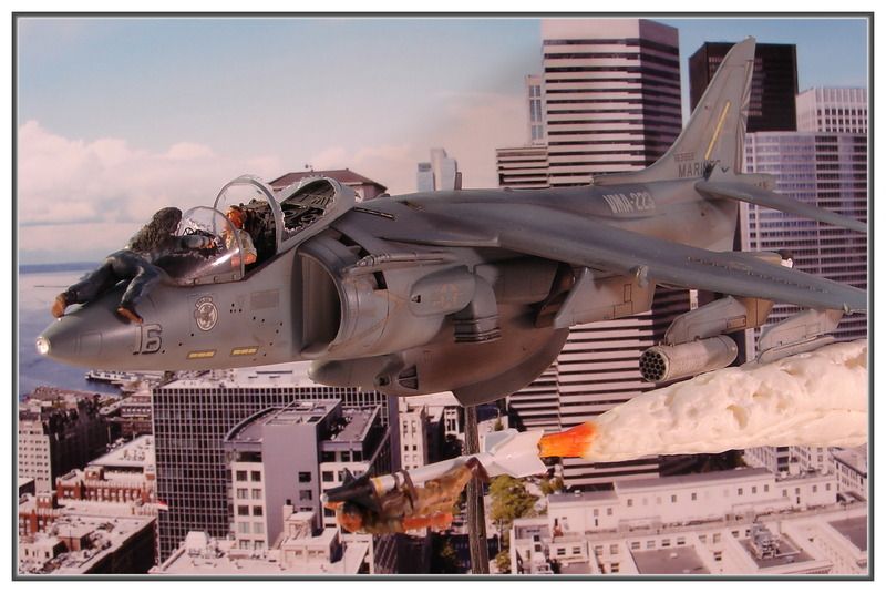 Harrier%20TL%206.jpg