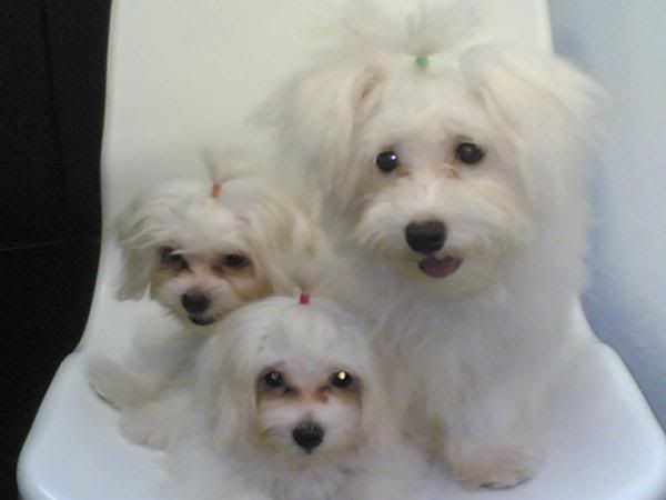 Photobucket - Video and Image Hosting