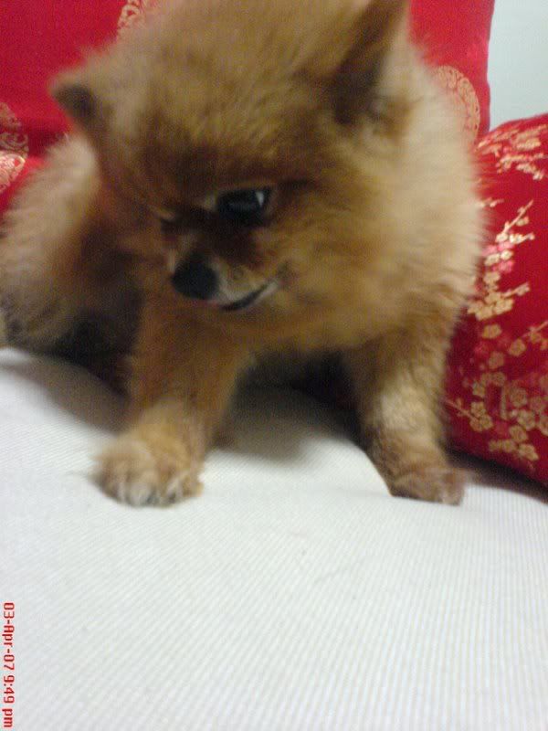 Photo Sharing and Video Hosting at Photobucket