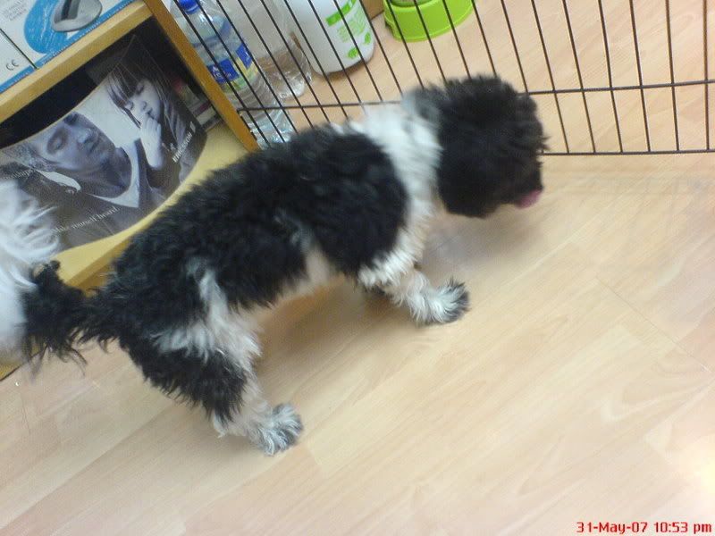 Photo Sharing and Video Hosting at Photobucket