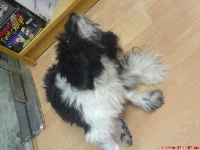 Photo Sharing and Video Hosting at Photobucket