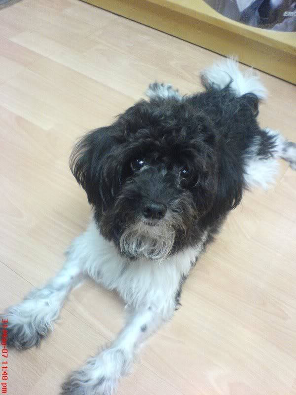 Photo Sharing and Video Hosting at Photobucket