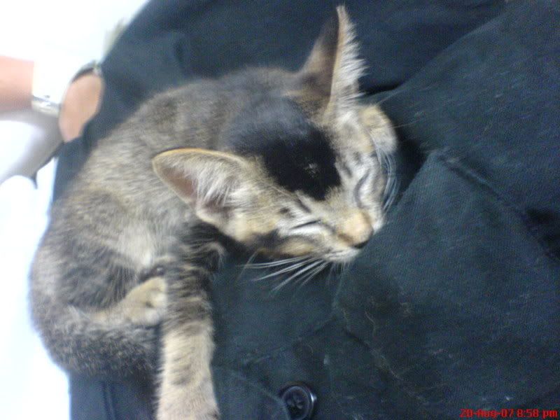 Photo Sharing and Video Hosting at Photobucket