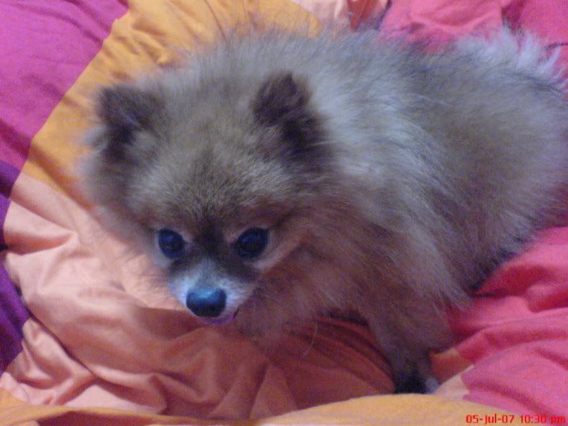 Photo Sharing and Video Hosting at Photobucket