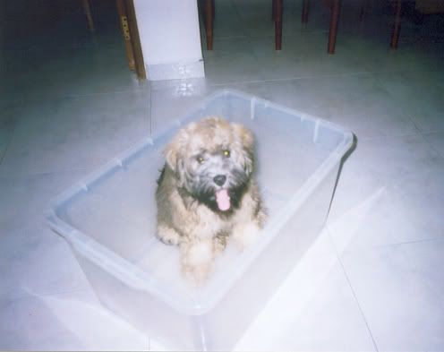 Photobucket - Video and Image Hosting