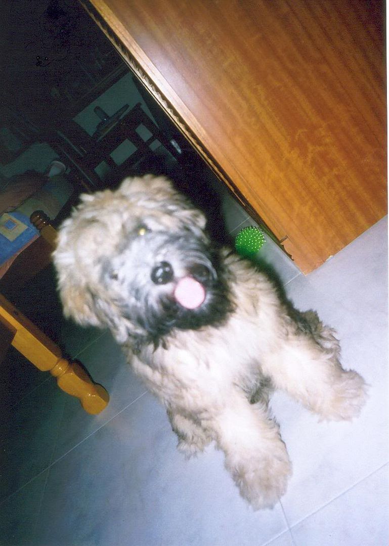 Photobucket - Video and Image Hosting