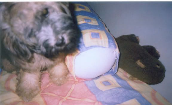 Photobucket - Video and Image Hosting