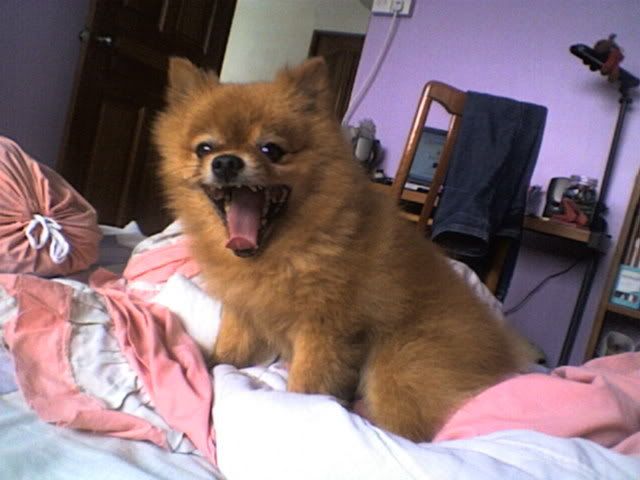 Photobucket - Video and Image Hosting