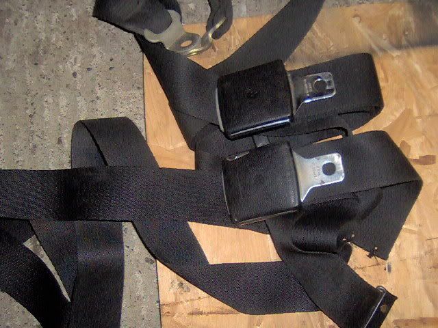 type2lapbelts.jpg