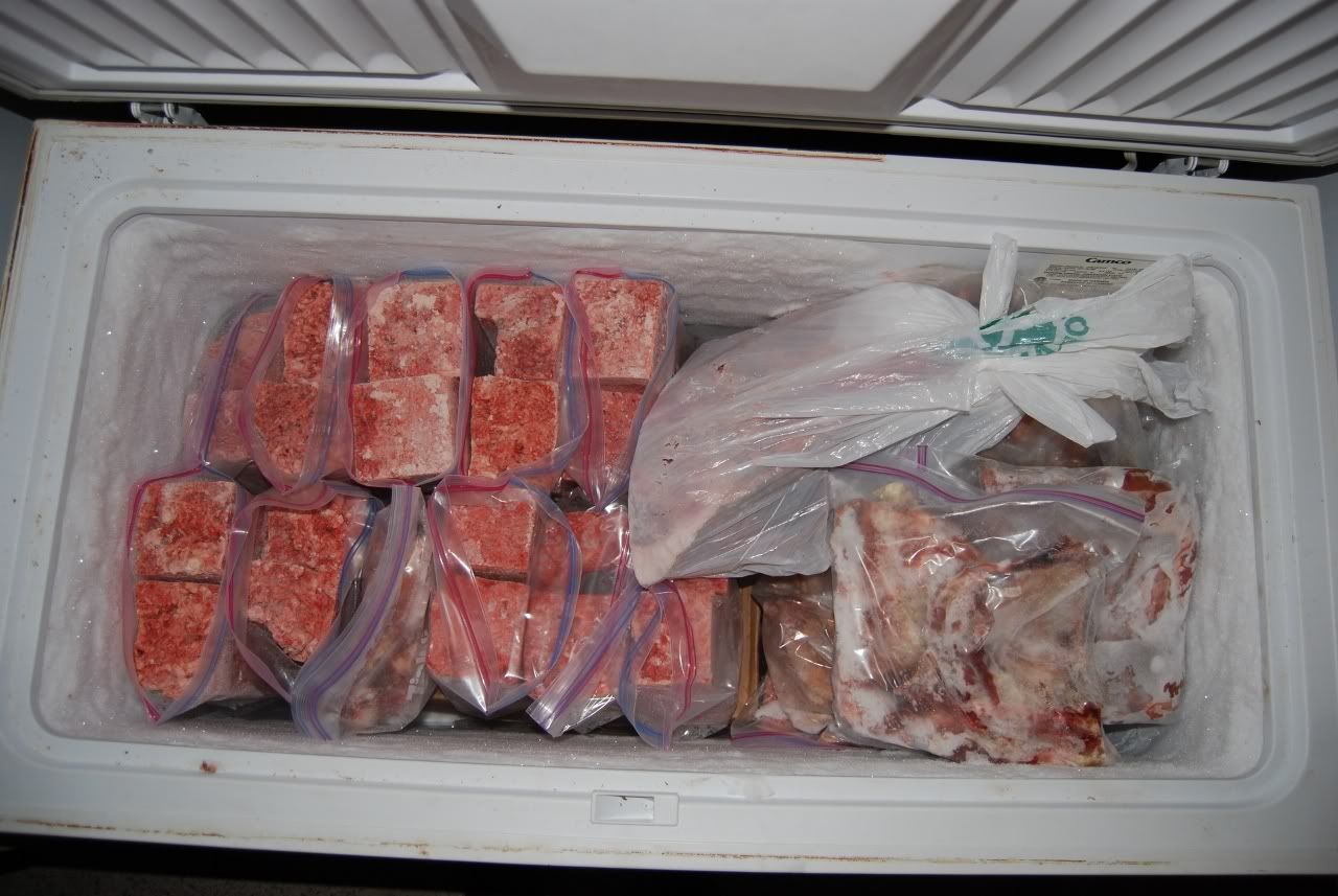 Lets see those freezers ) Boxer Breed Dog Forums