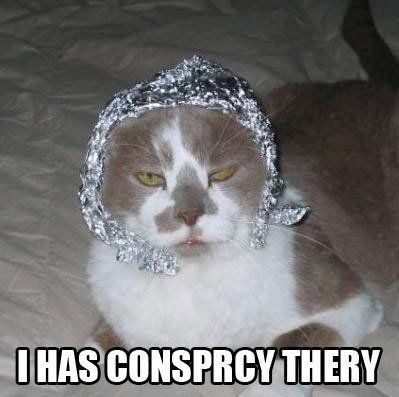 Tinfoil%20hat%20cat.jpeg