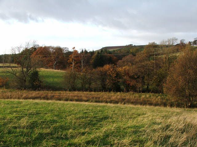 Autumn2007037.jpg