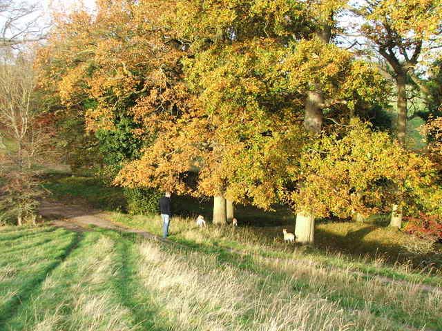 Autumn2007038.jpg