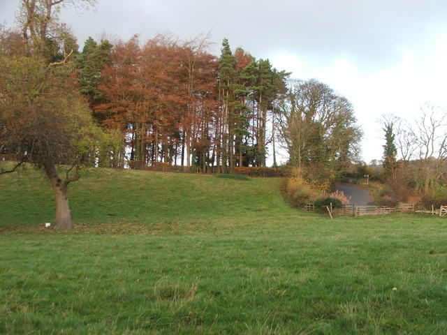 Autumn2007061.jpg