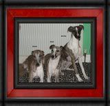 Kobistealing003cropm3namesframe2-1.jpg
