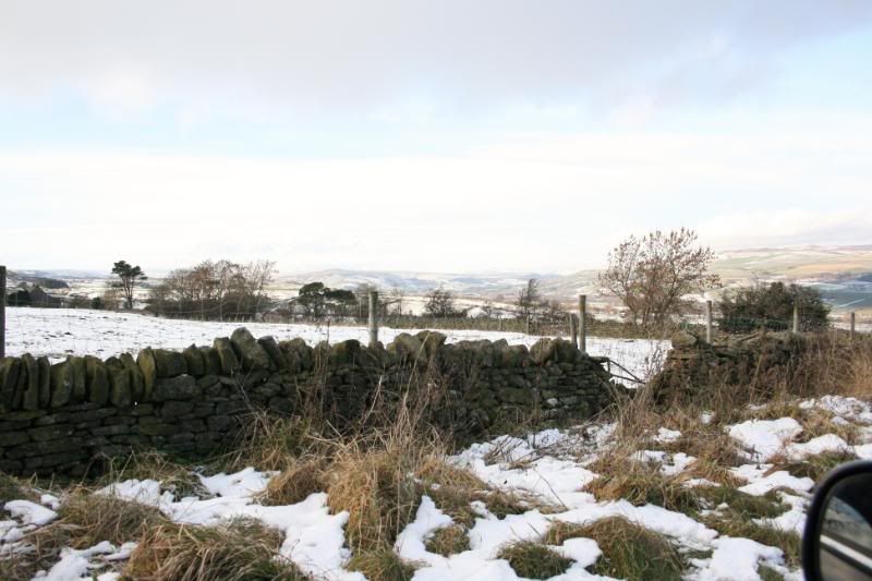 Hamsterleyinthesnow013.jpg