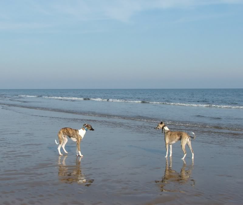 Beach-SeaburnOct07005crop.jpg