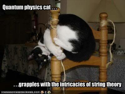 string theory photo: string theory cat funny-pictures-physicist-cat-tri-1.jpg